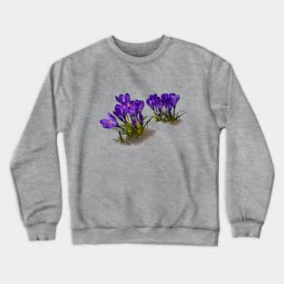 Crocus Crewneck Sweatshirt